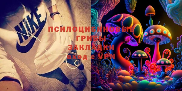 гидра Дмитров