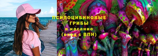 ПСИЛОЦИБИНОВЫЕ ГРИБЫ Балабаново