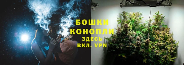 ПСИЛОЦИБИНОВЫЕ ГРИБЫ Балабаново