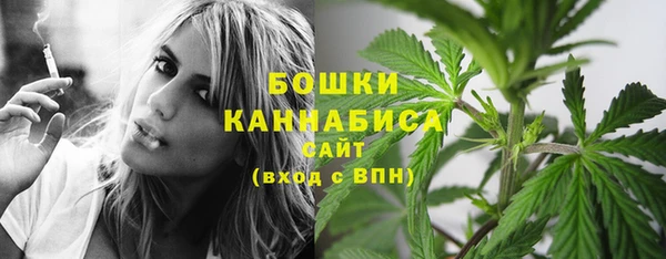 ПСИЛОЦИБИНОВЫЕ ГРИБЫ Балабаново