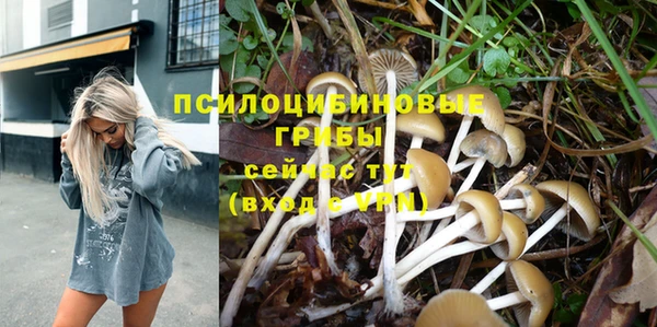 каннабис Баксан